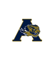 Arlington Youth Sports Tigers